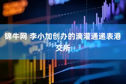 锦牛网 李小加创办的滴灌通递表港交所