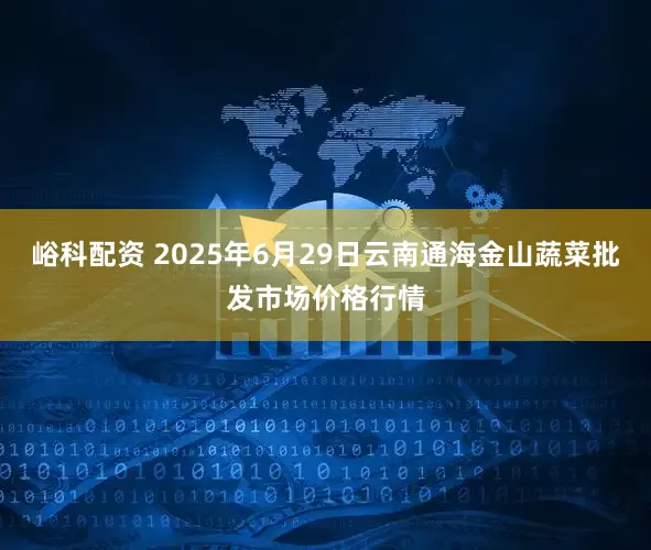 峪科配资 2025年6月29日云南通海金山蔬菜批发市场价格行情
