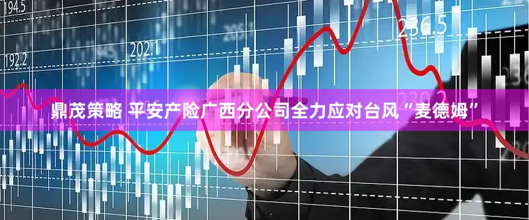 鼎茂策略 平安产险广西分公司全力应对台风“麦德姆”