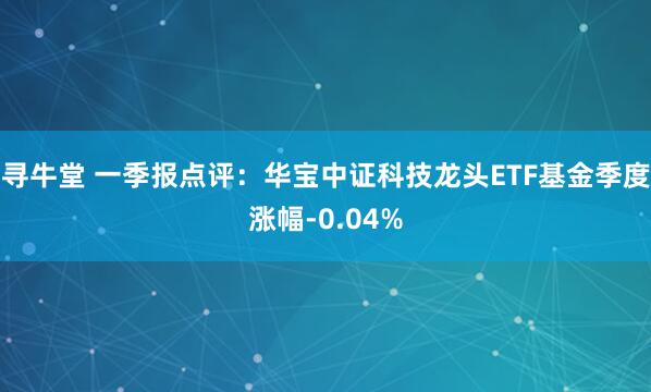 寻牛堂 一季报点评：华宝中证科技龙头ETF基金季度涨幅-0.04%