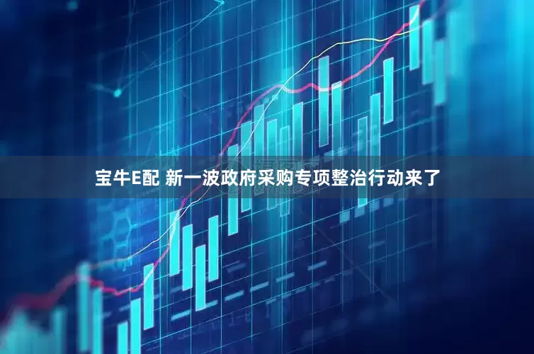 宝牛E配 新一波政府采购专项整治行动来了